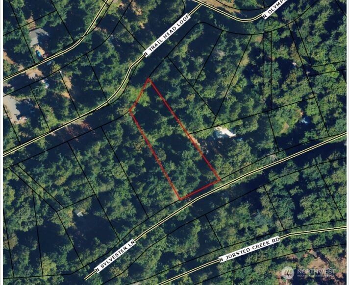 51 N Trail Head Loop Property Photo 10