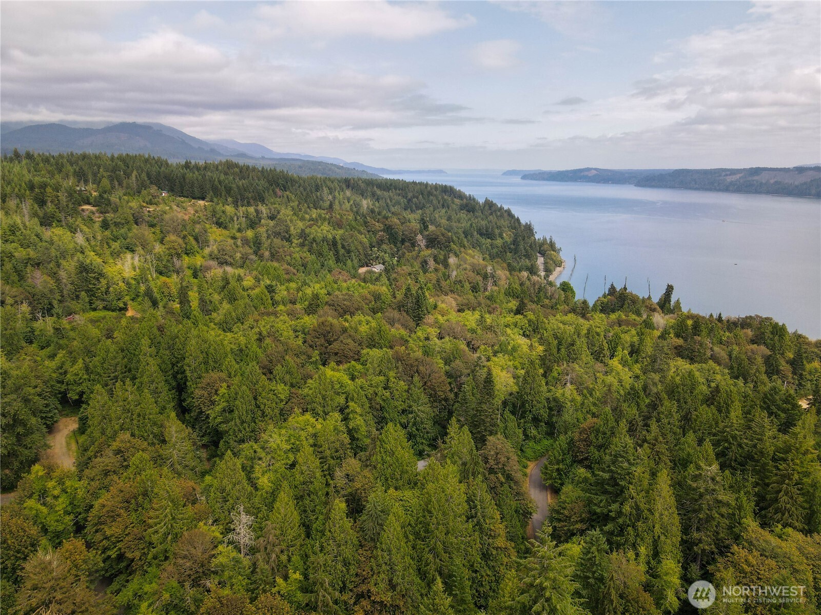 51 N Trail Head Loop Property Photo 11