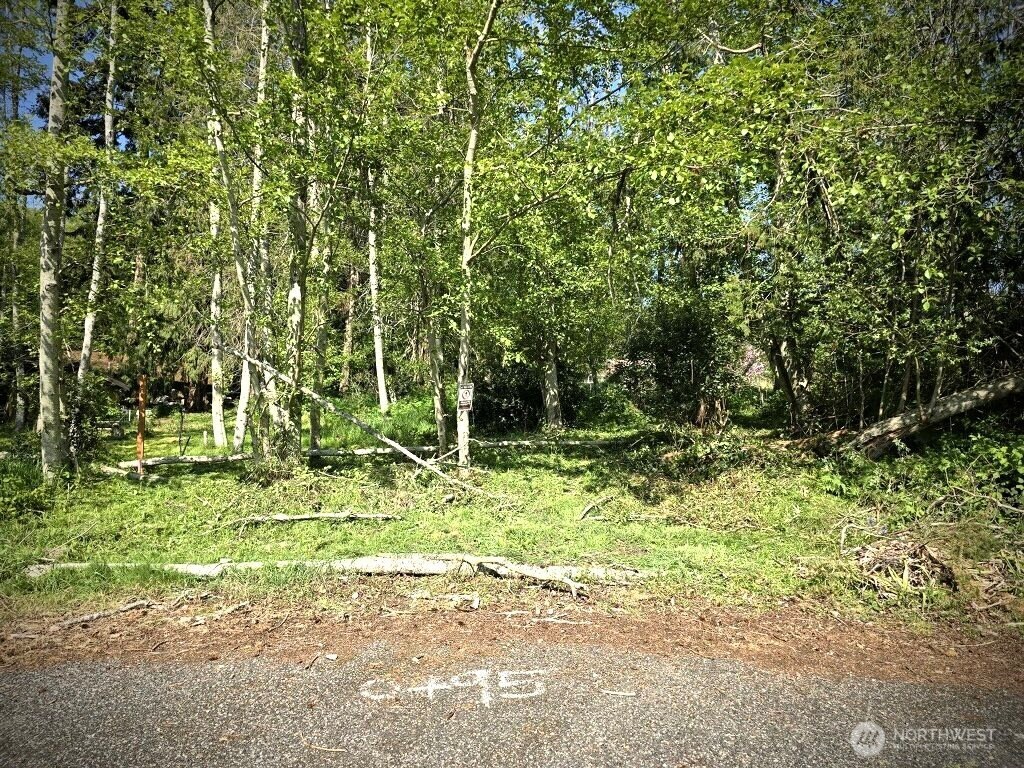 0 Halsey Drive Property Photo