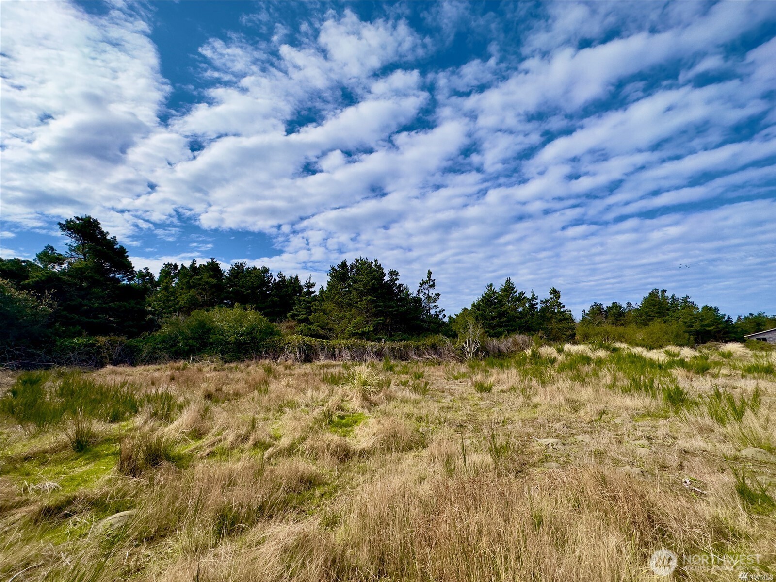 680 Ocean Shores Boulevard Property Photo 38