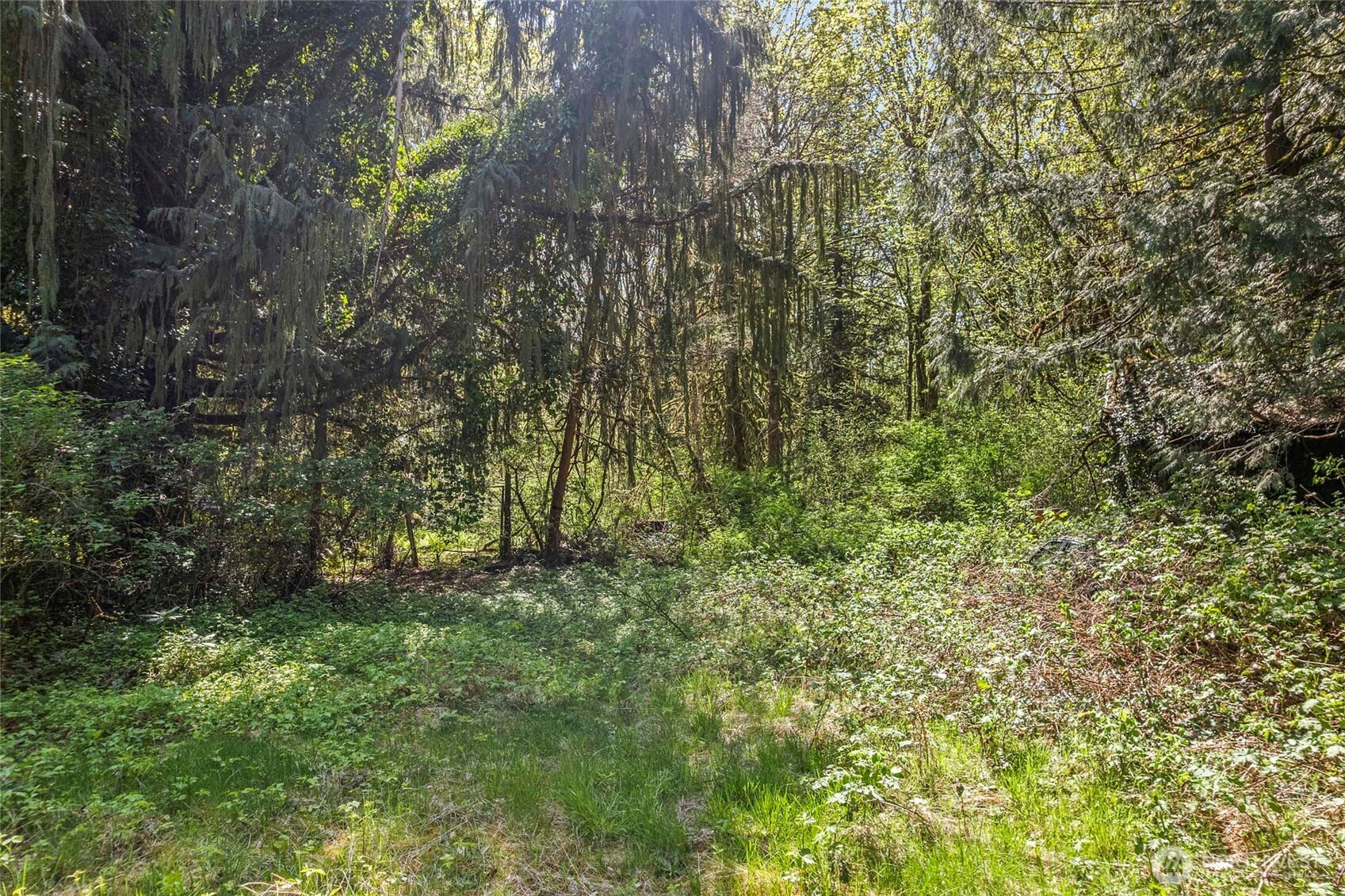 57174 State Route 20 Property Photo 9