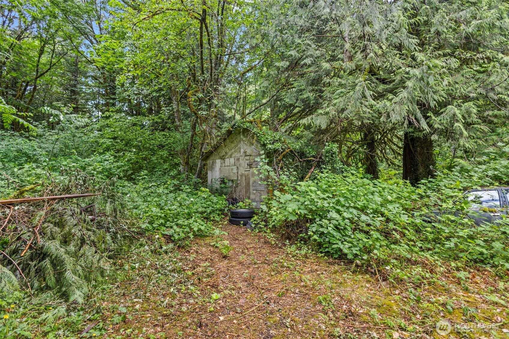 57174 State Route 20 Property Photo 27