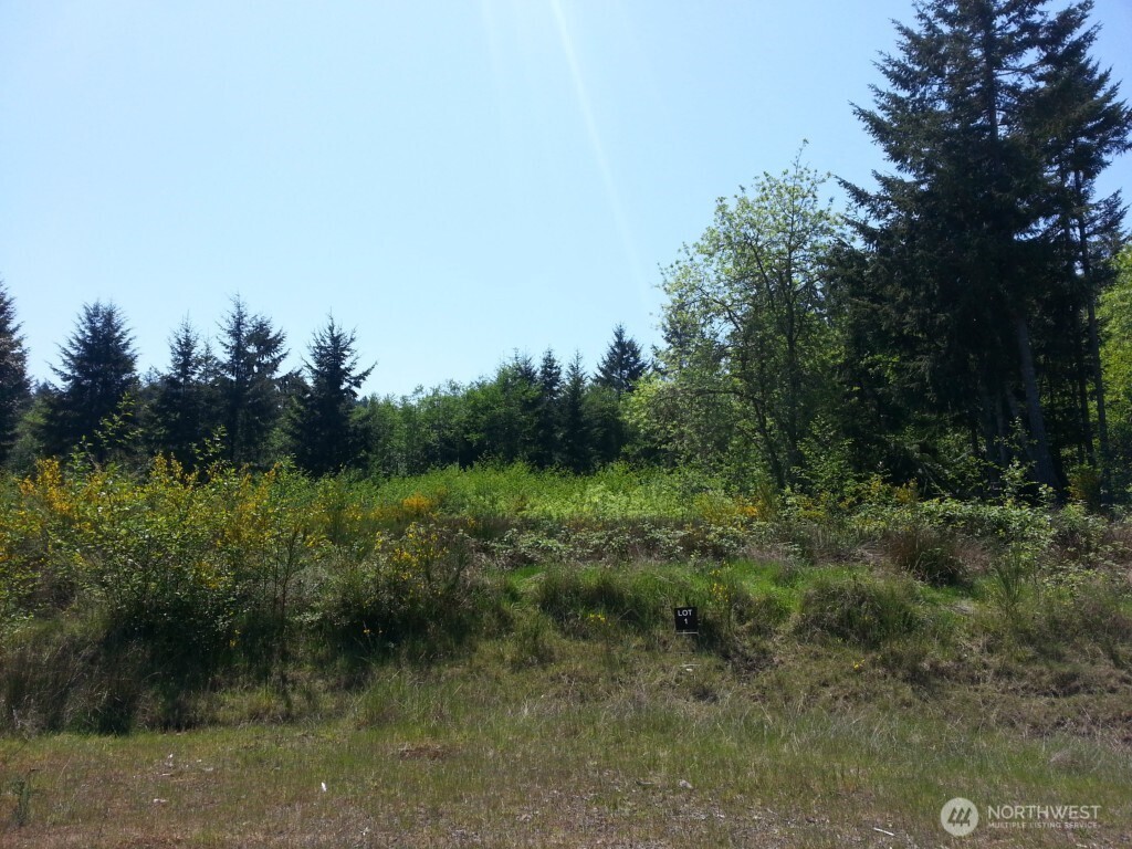 8510 112th Avenue Property Photo 4