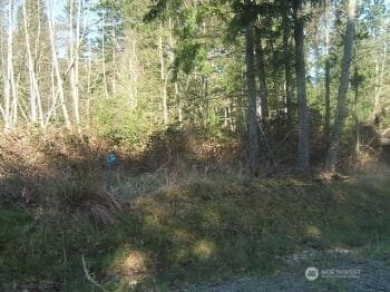 8406 112th Avenue Property Photo 3