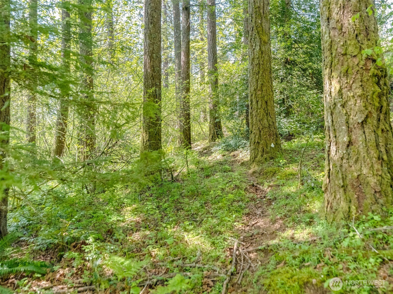 0 Xxx Se 362nd Avenue Property Photo 2