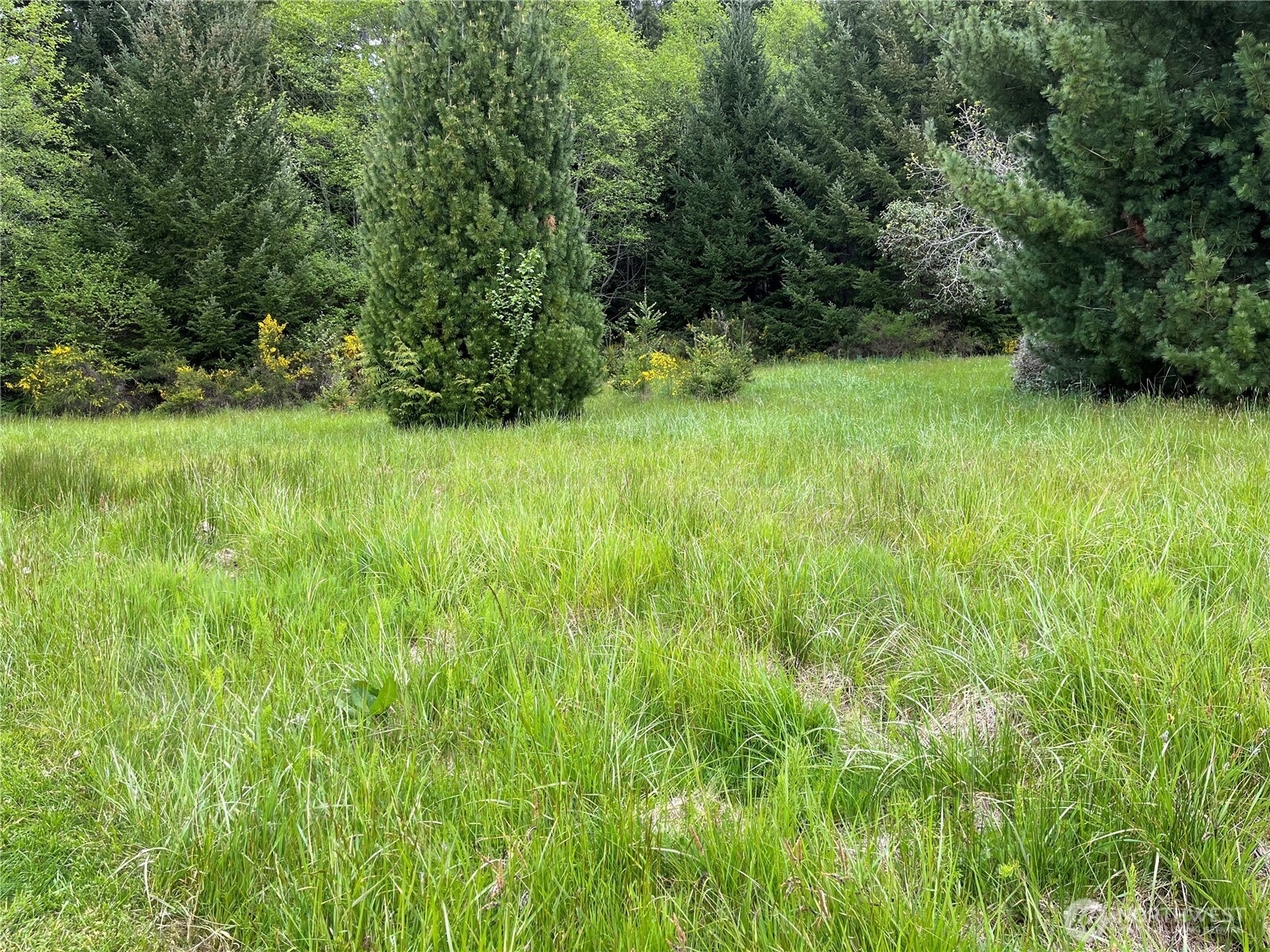 0 Xxxx Se 224th Street Property Photo 1