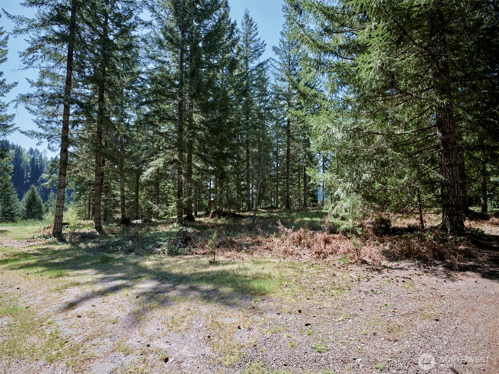 1 Loowit Lane Property Photo 7