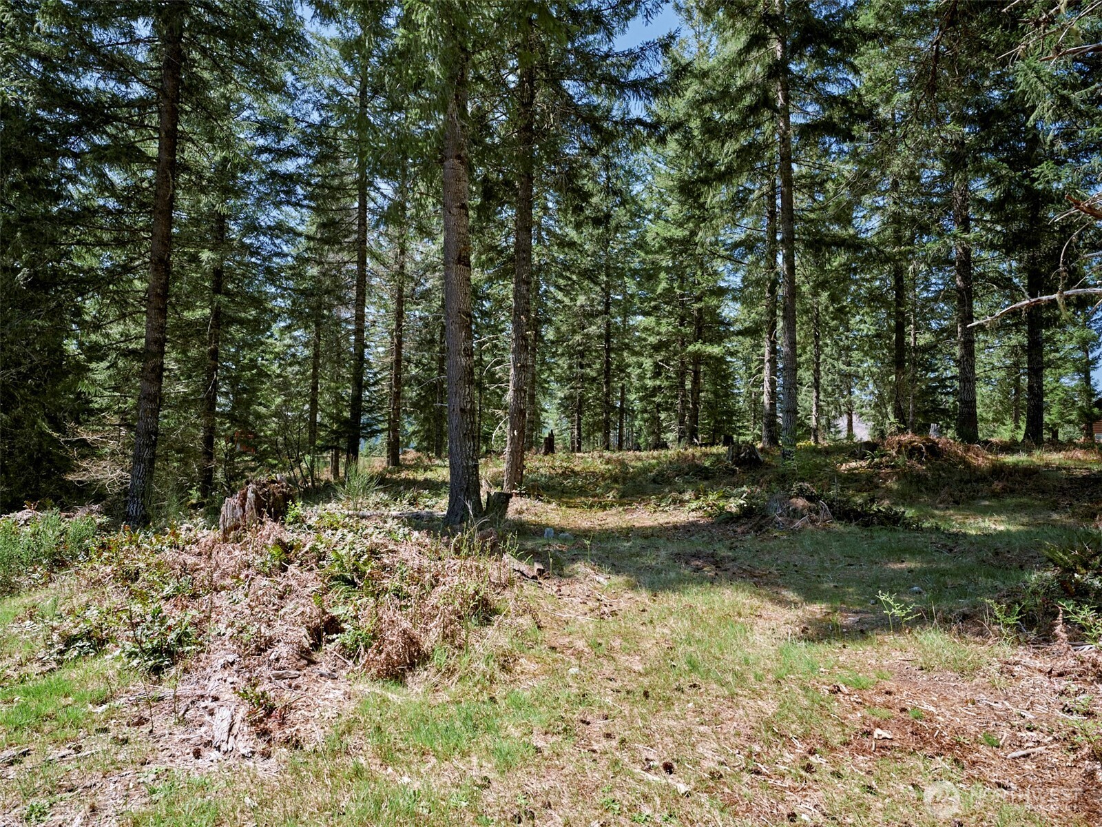 1 Loowit Lane Property Photo 10