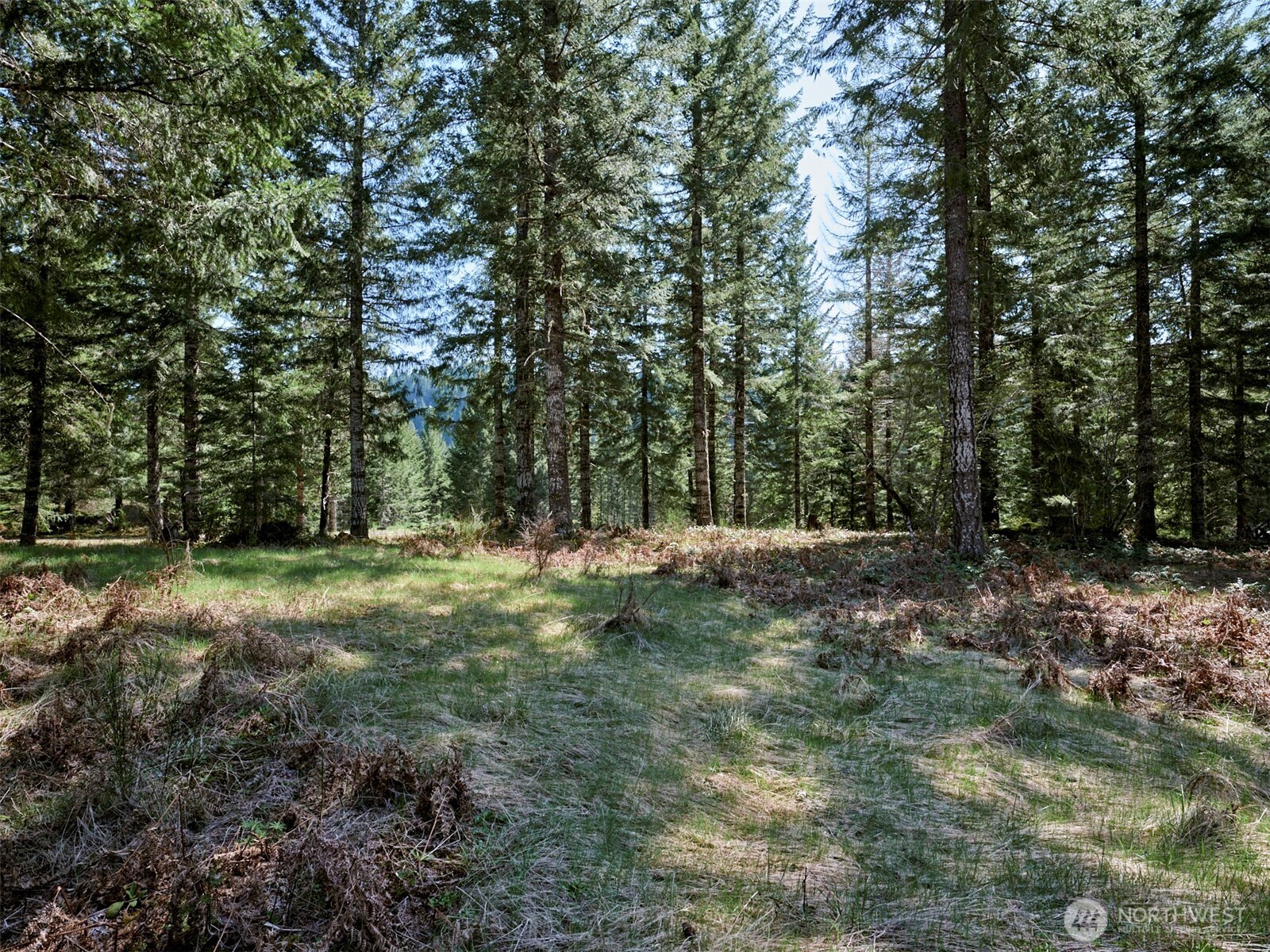 1 Loowit Lane Property Photo 17