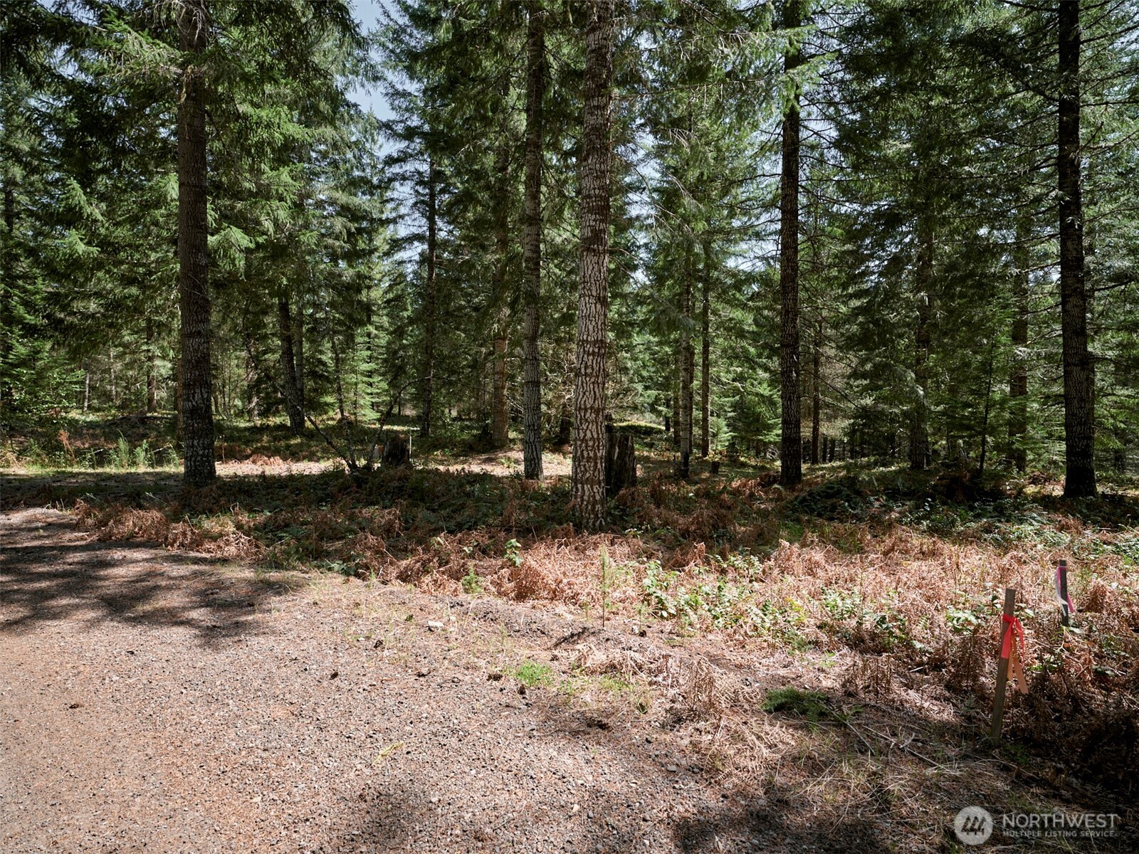 2 Loowit Lane Property Photo 7