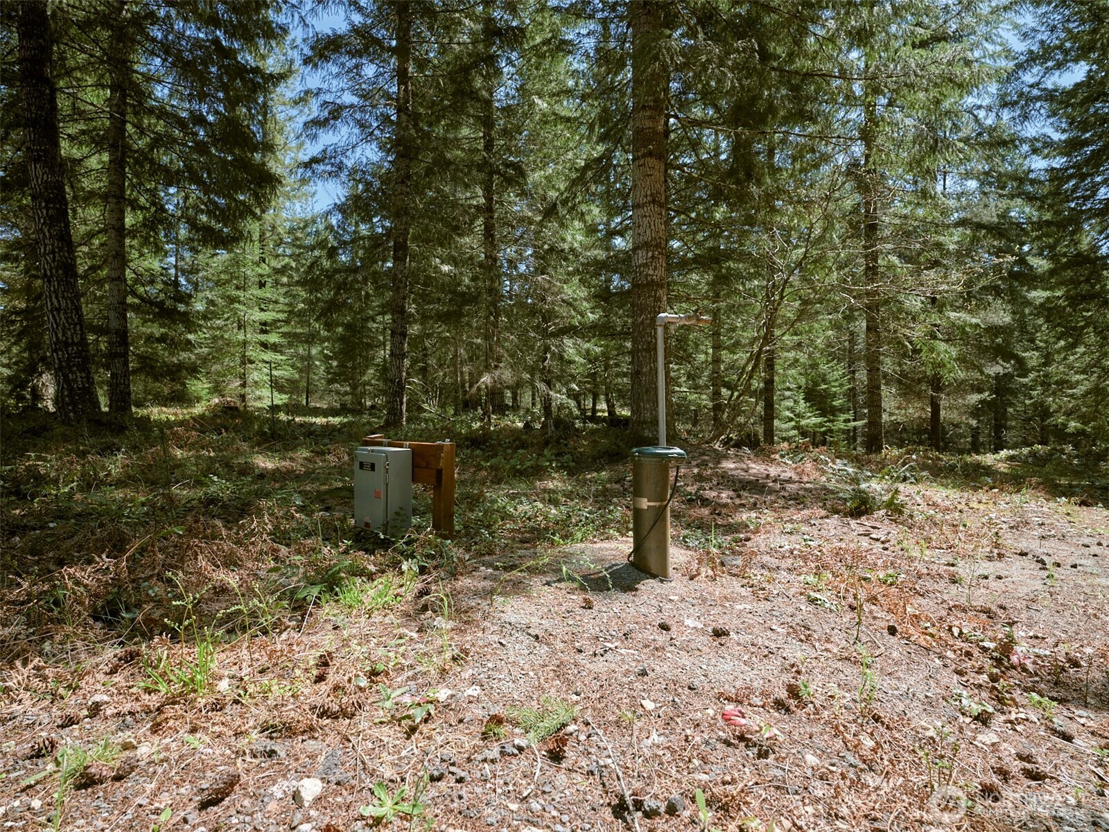 2 Loowit Lane Property Photo 11