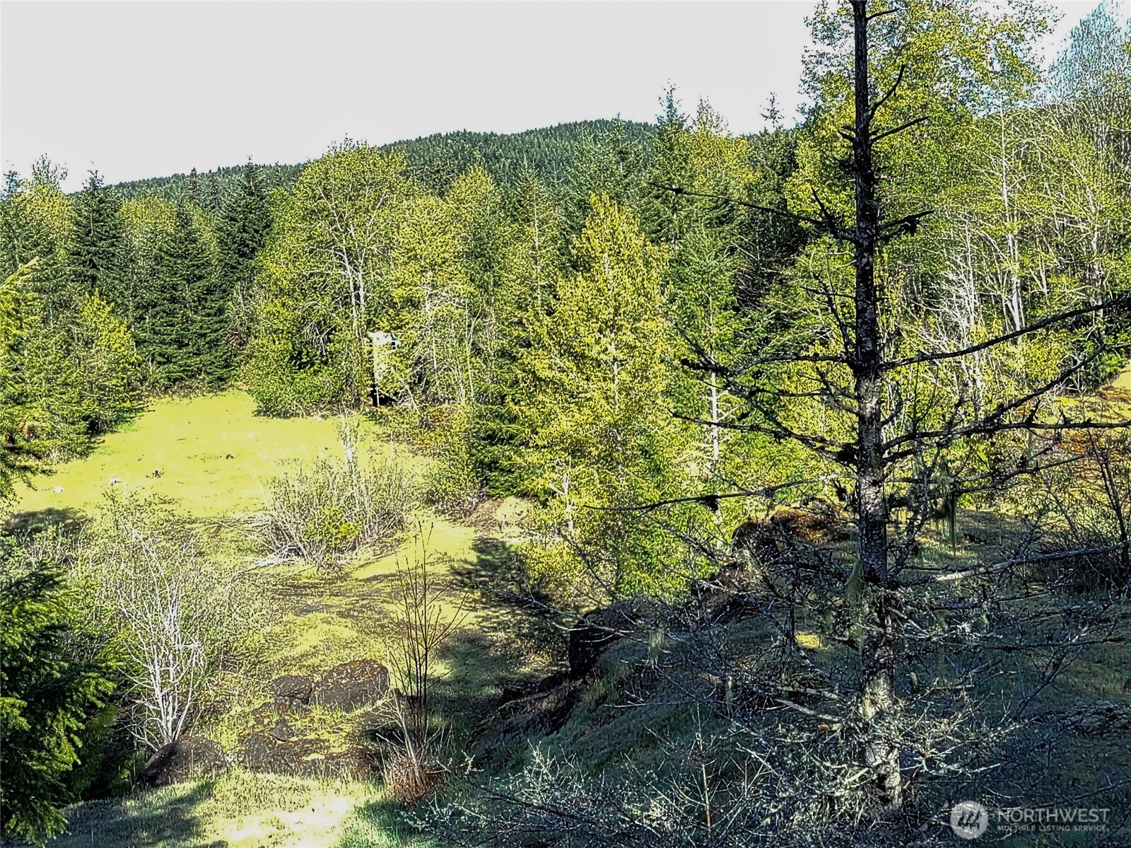 1513 State Route 8 Property Photo 1