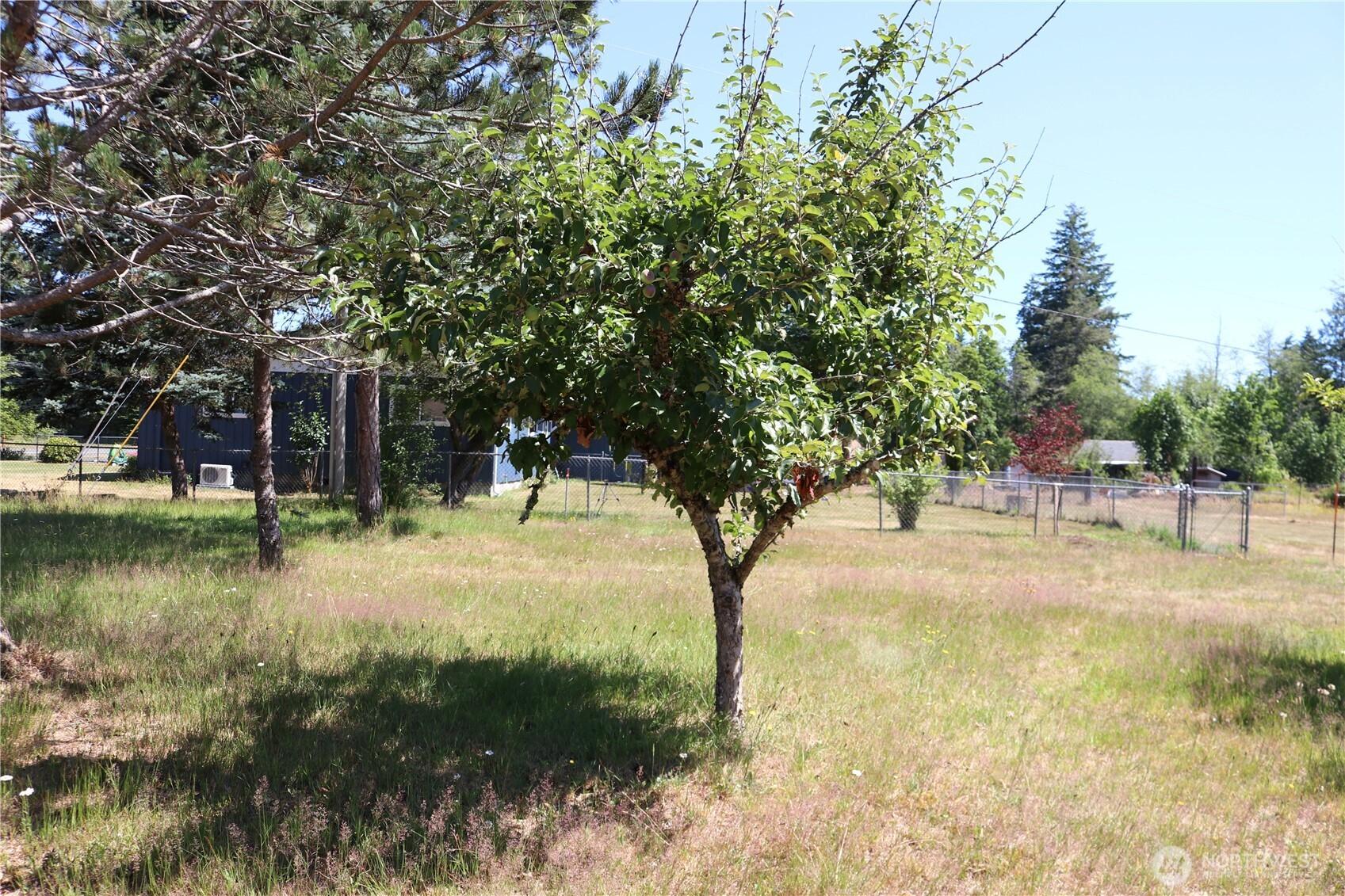 441 W Elma Hicklin Road Property Photo 8