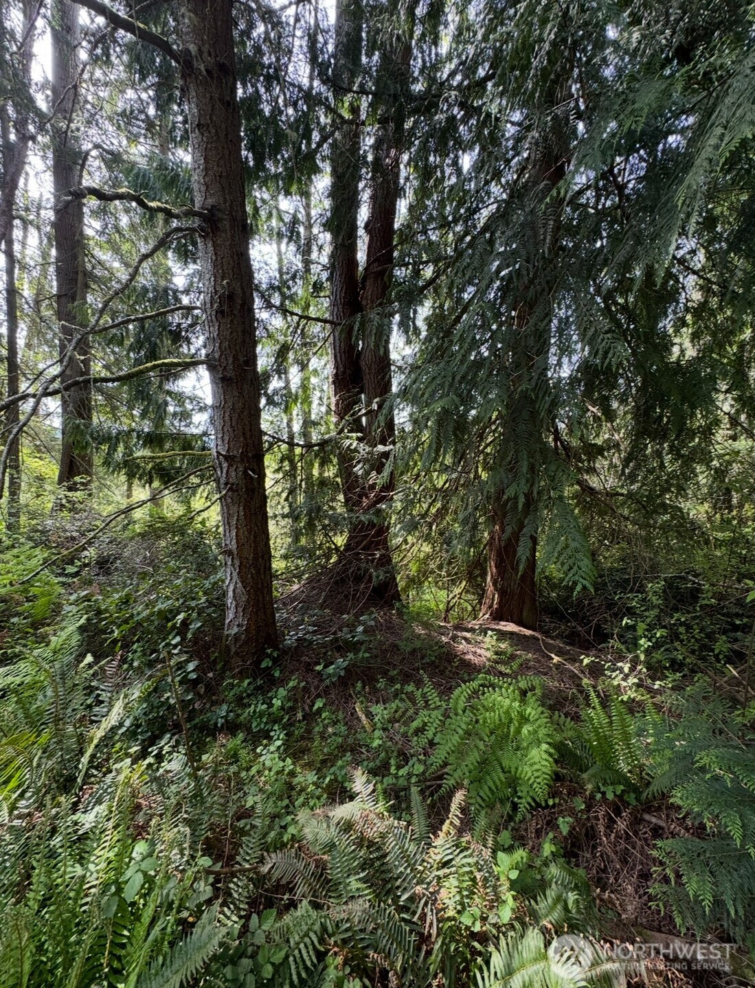 11106 Spruce Dr Property Photo 1