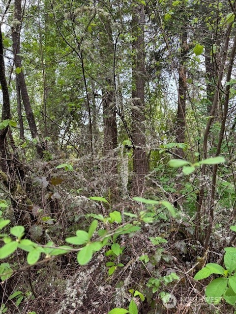 0 Clinton Road Property Photo
