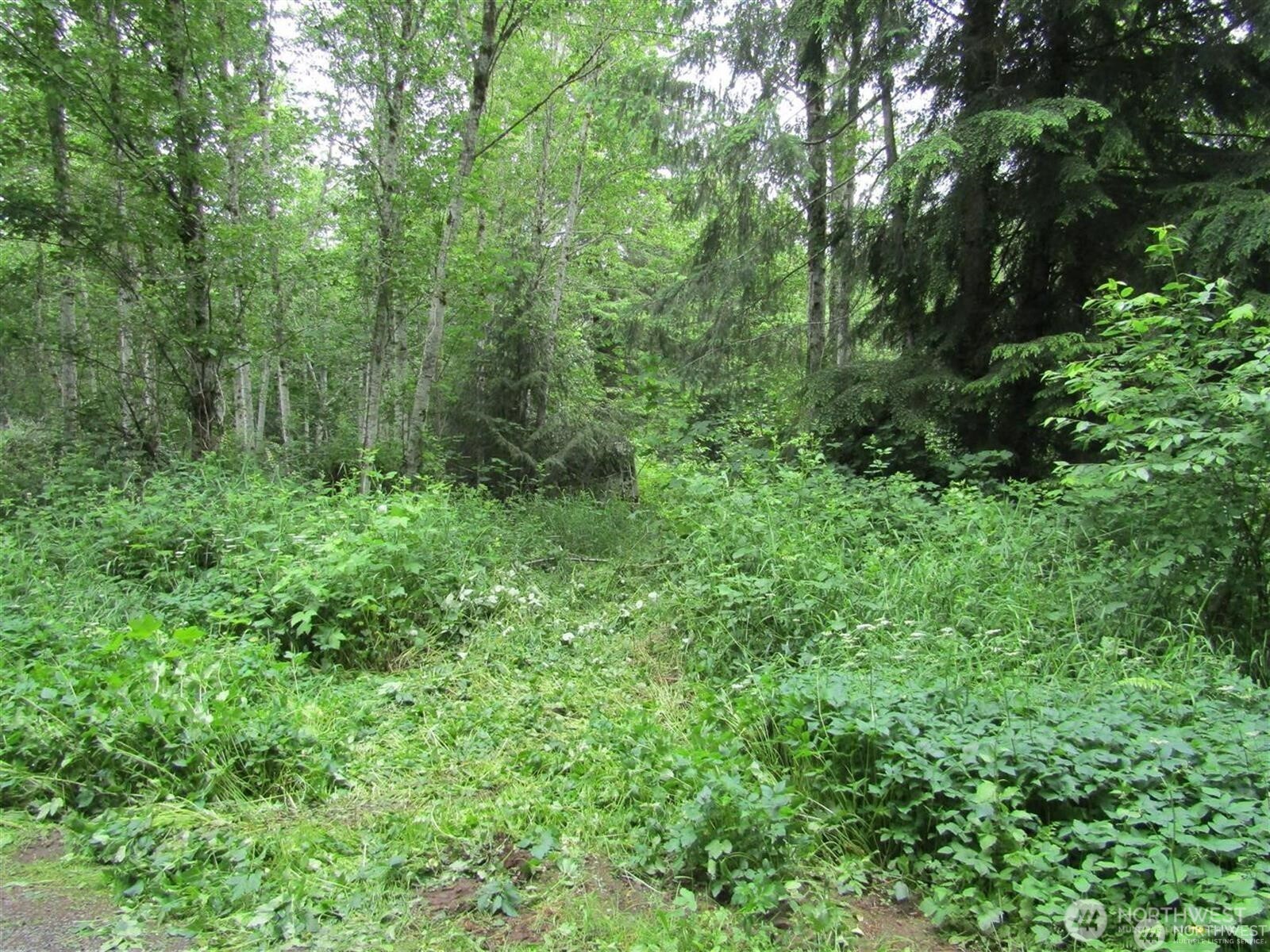 0 Davis Lake Road Property Photo 1