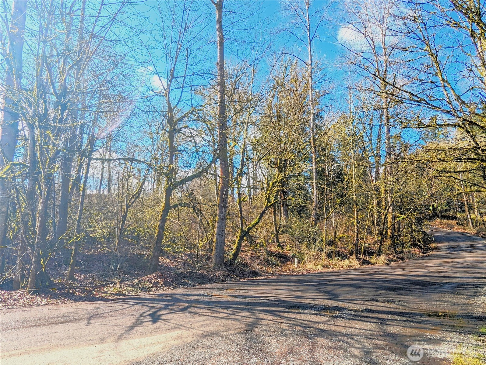 17400 Se 298th Street Property Photo 18