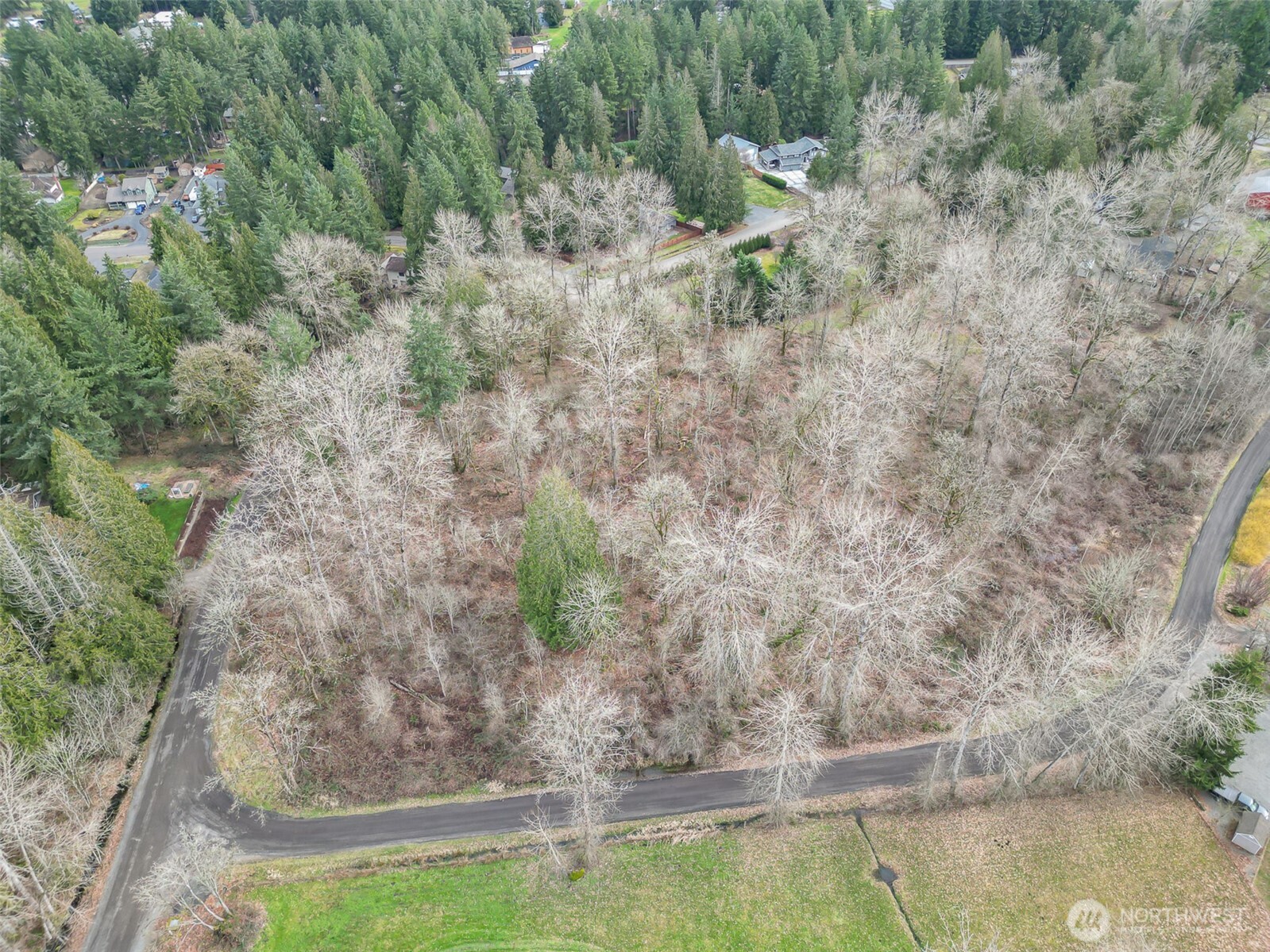 17400 Se 298th Street Property Photo 25