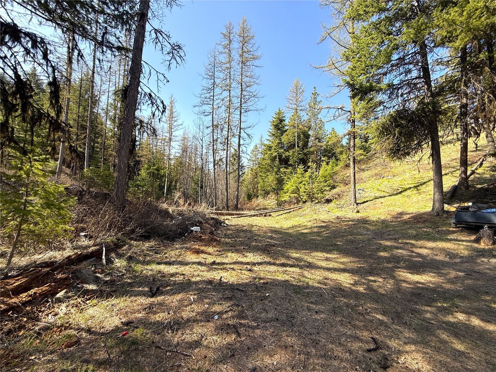 0 Tbd Give Out Creek Road Property Photo