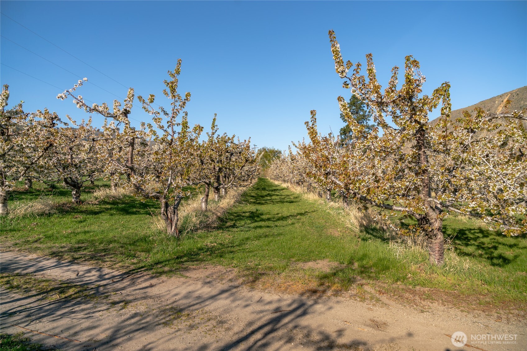 23041 State Highway 97 Property Photo 33