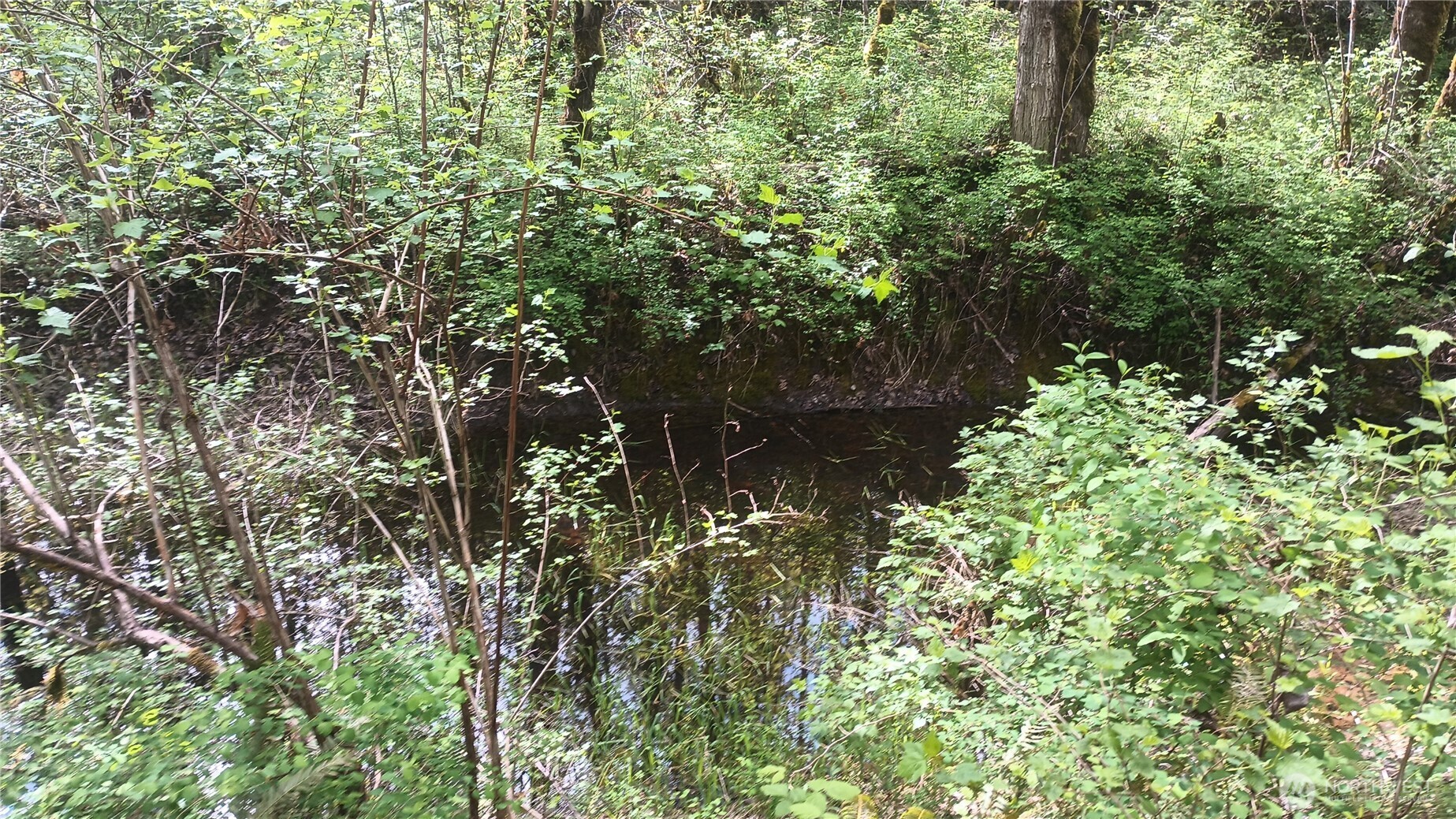 839 Lot 19 Cline Road Property Photo 3