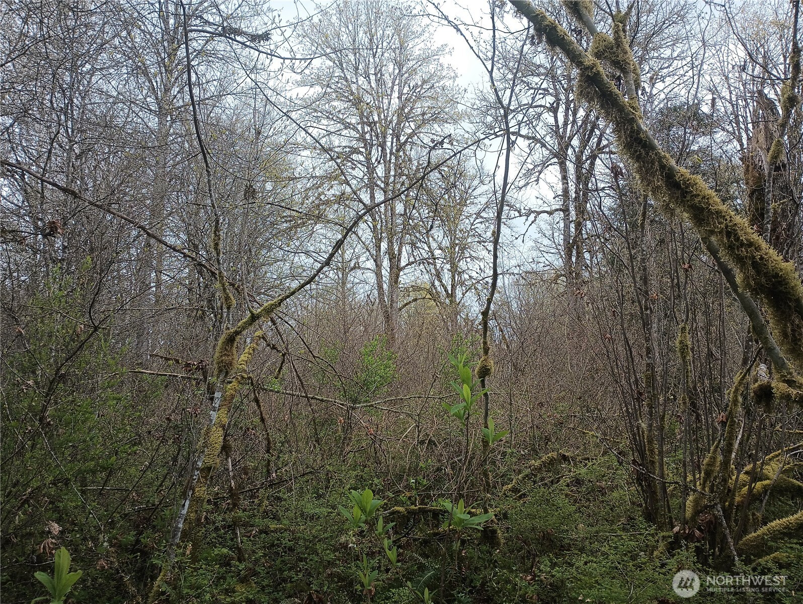 839 Lot 19 Cline Road Property Photo 12