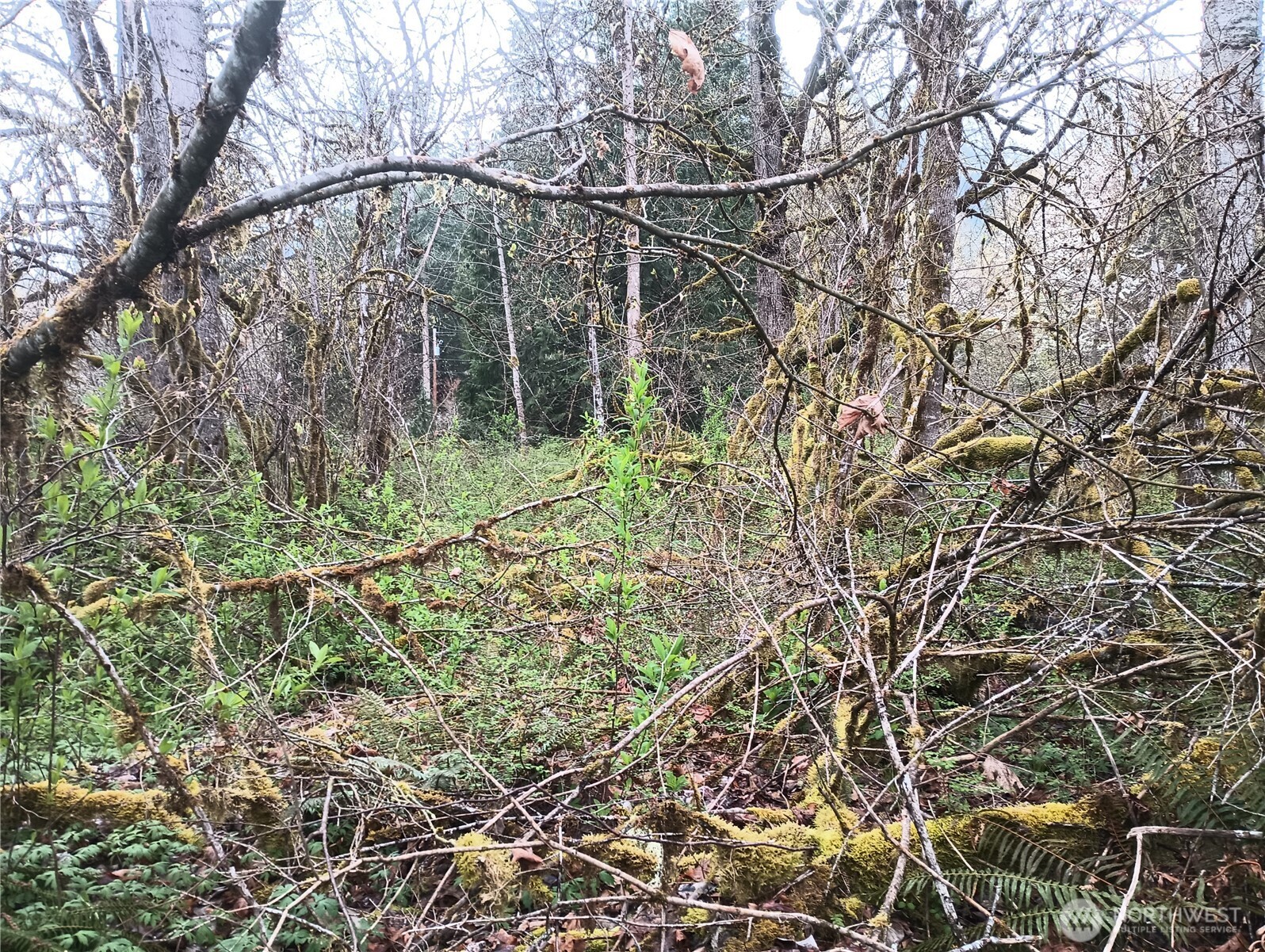 839 Lot 19 Cline Road Property Photo 14