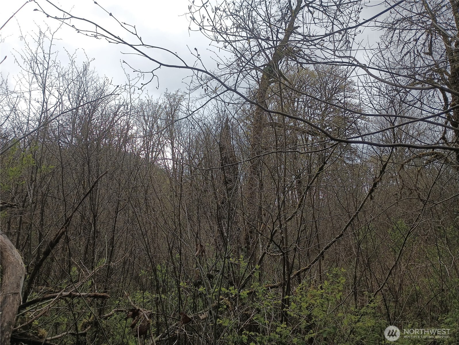 839 Lot 19 Cline Road Property Photo 16