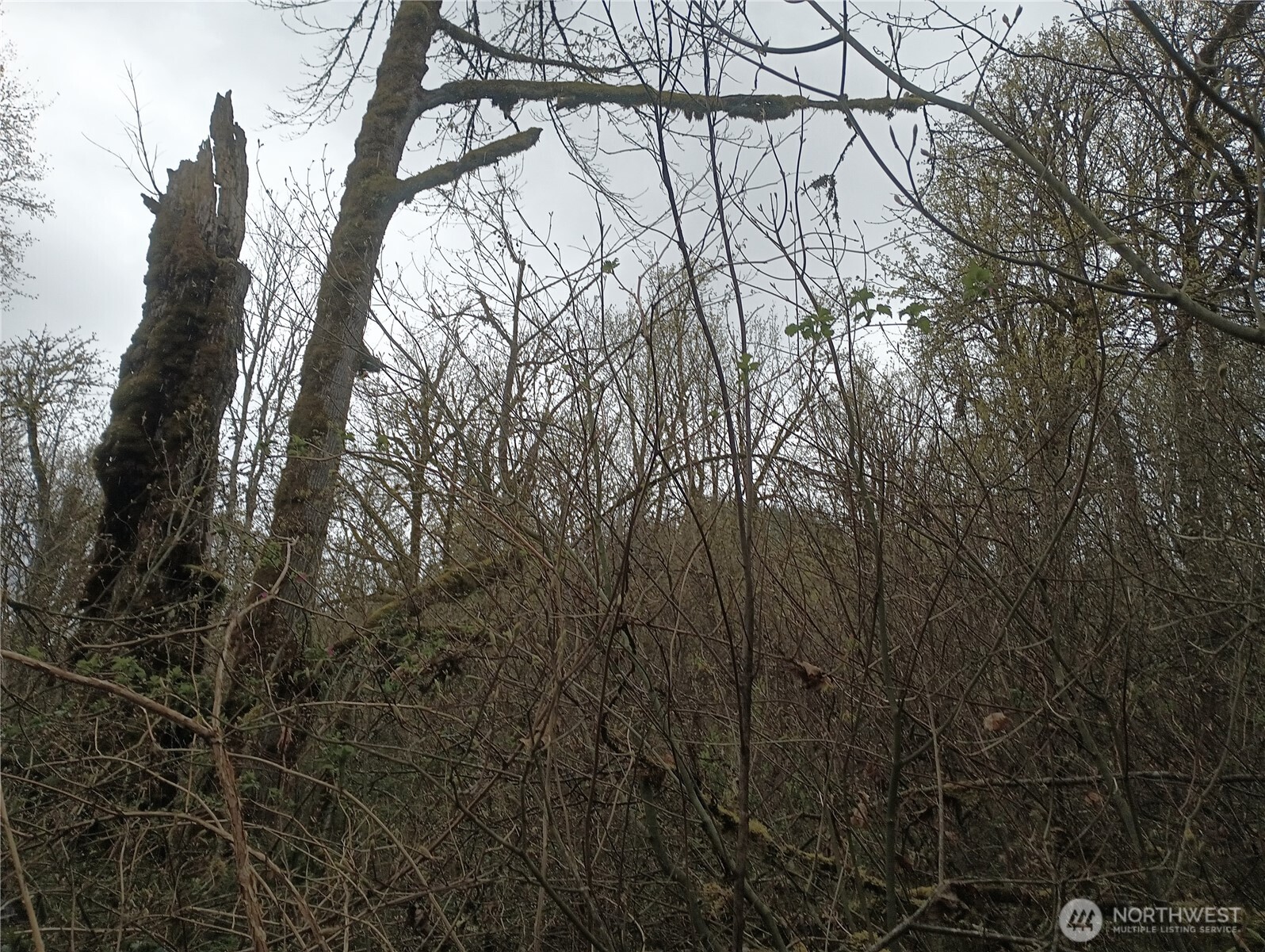 839 Lot 19 Cline Road Property Photo 18