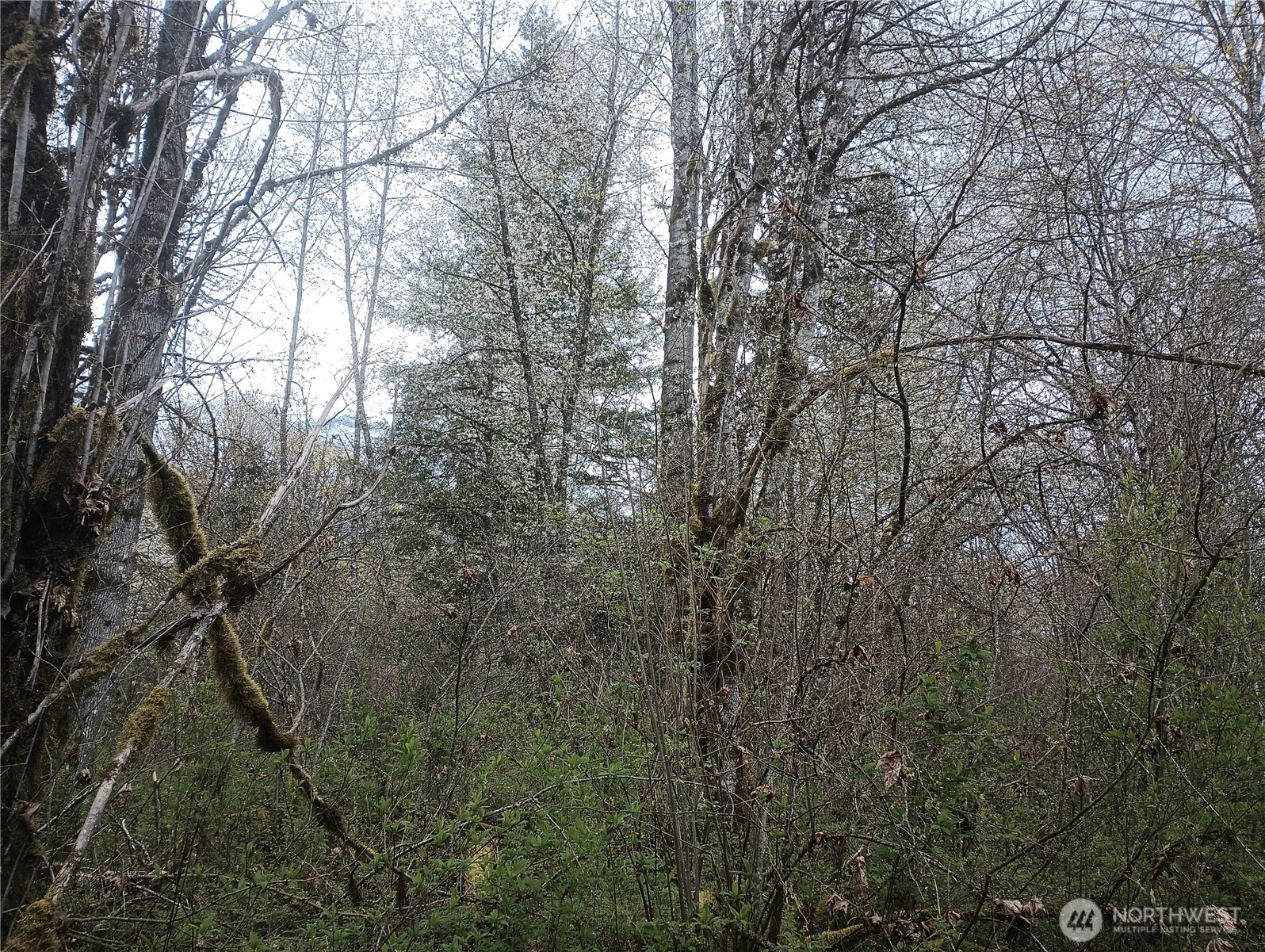 839 Lot 19 Cline Road Property Photo 19