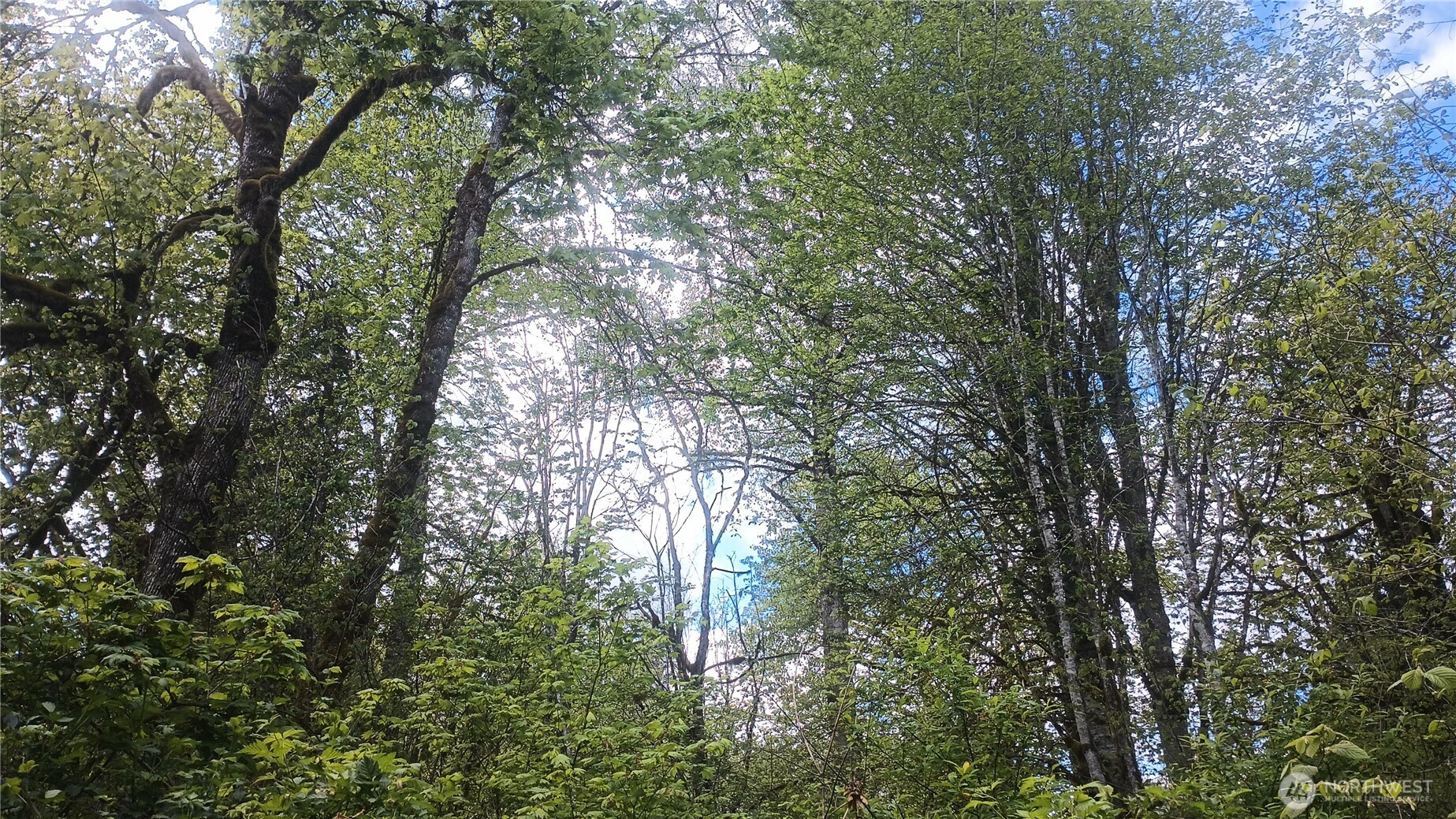 839 Lot 19 Cline Road Property Photo 21