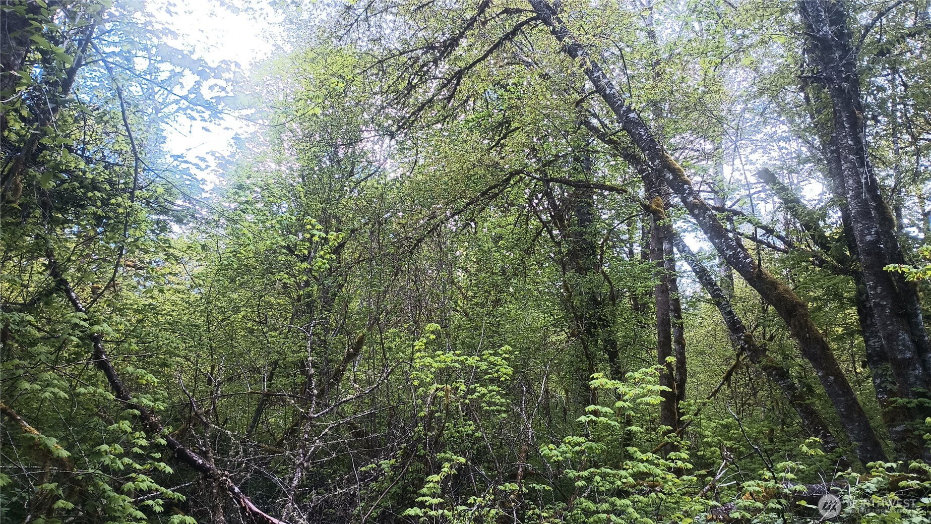 839 Lot 19 Cline Road Property Photo 22