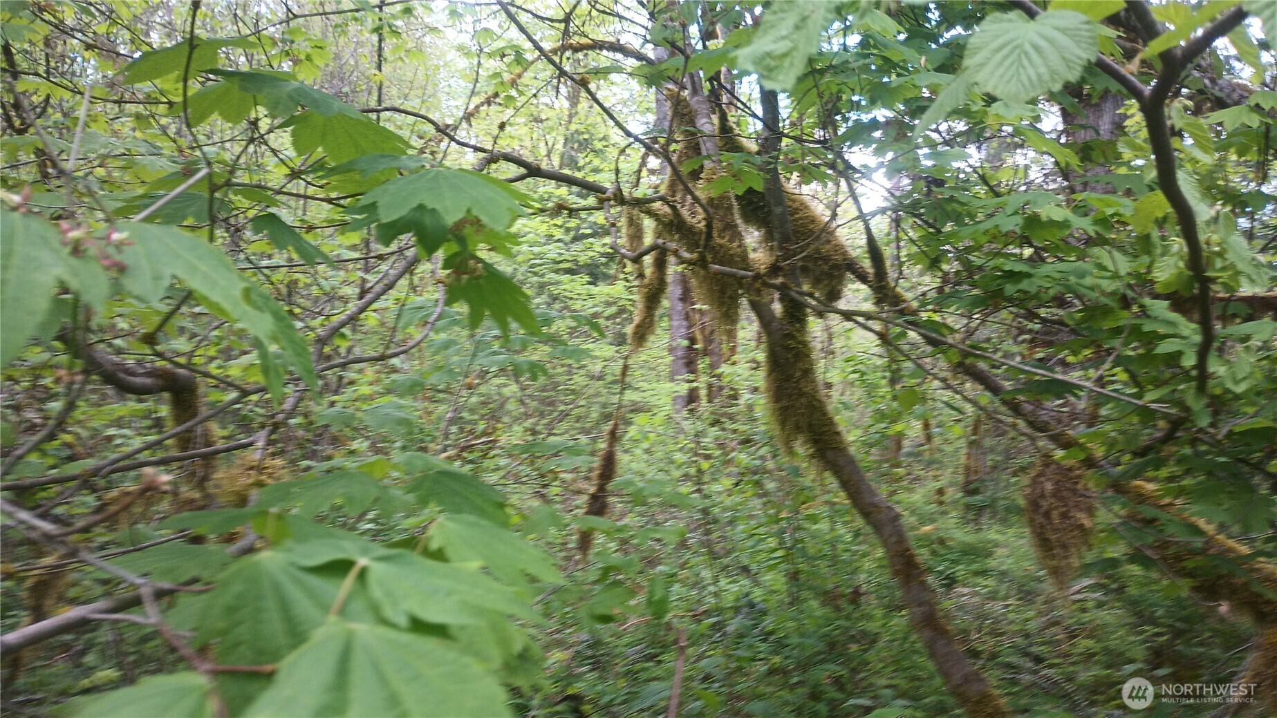 839 Lot 19 Cline Road Property Photo 24