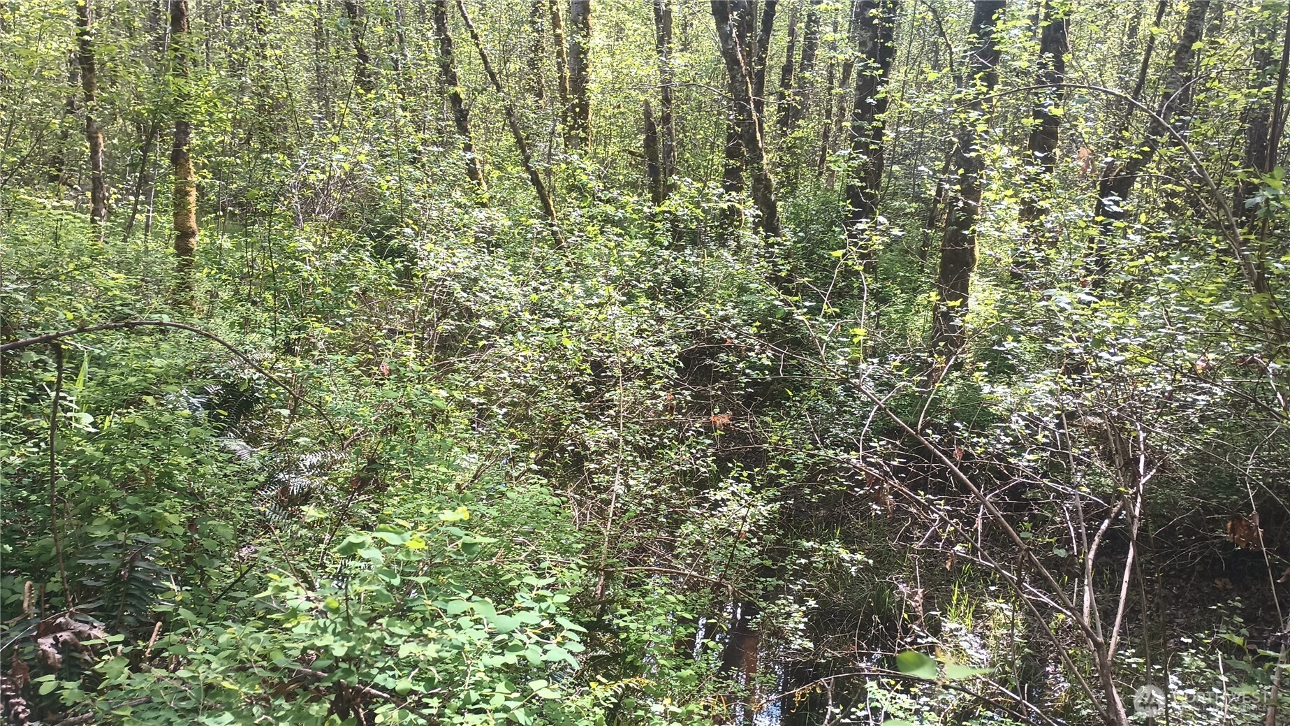 839 Lot 19 Cline Road Property Photo 26