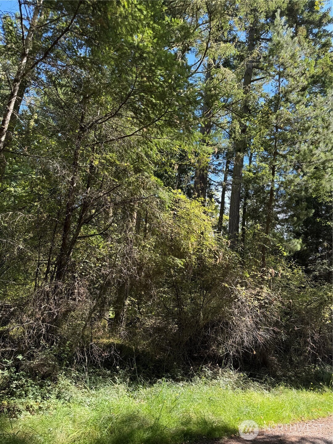 0 Thatcher Pass Road Property Photo 1