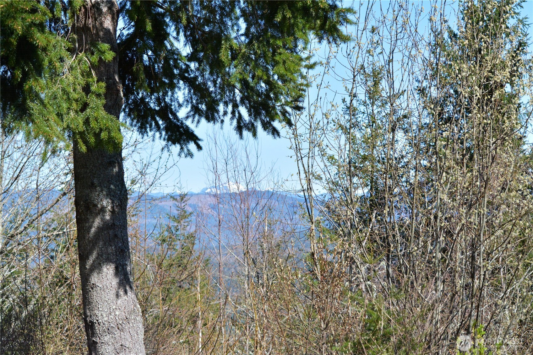 20 Academy Highlands Property Photo 6