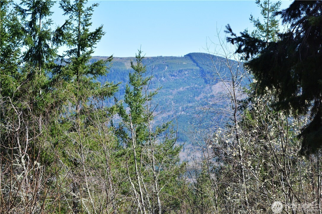 20 Academy Highlands Property Photo 20