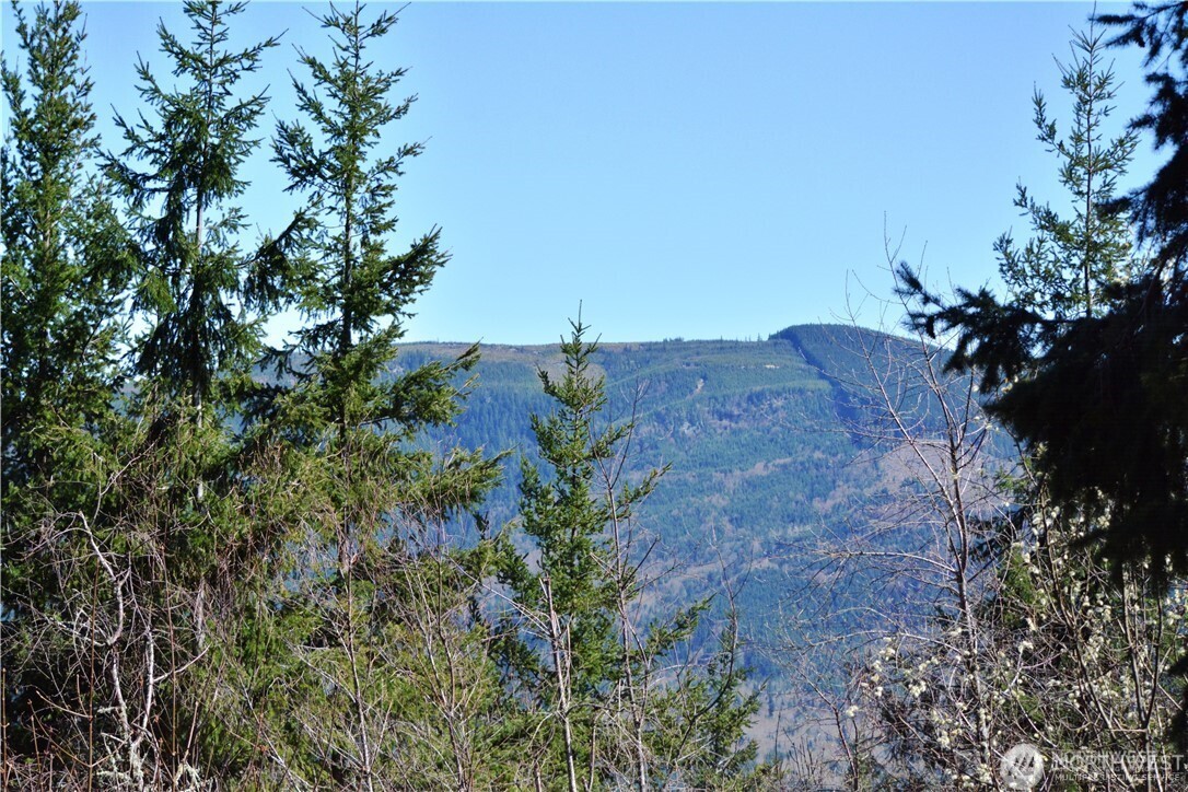 20 Academy Highlands Property Photo 30