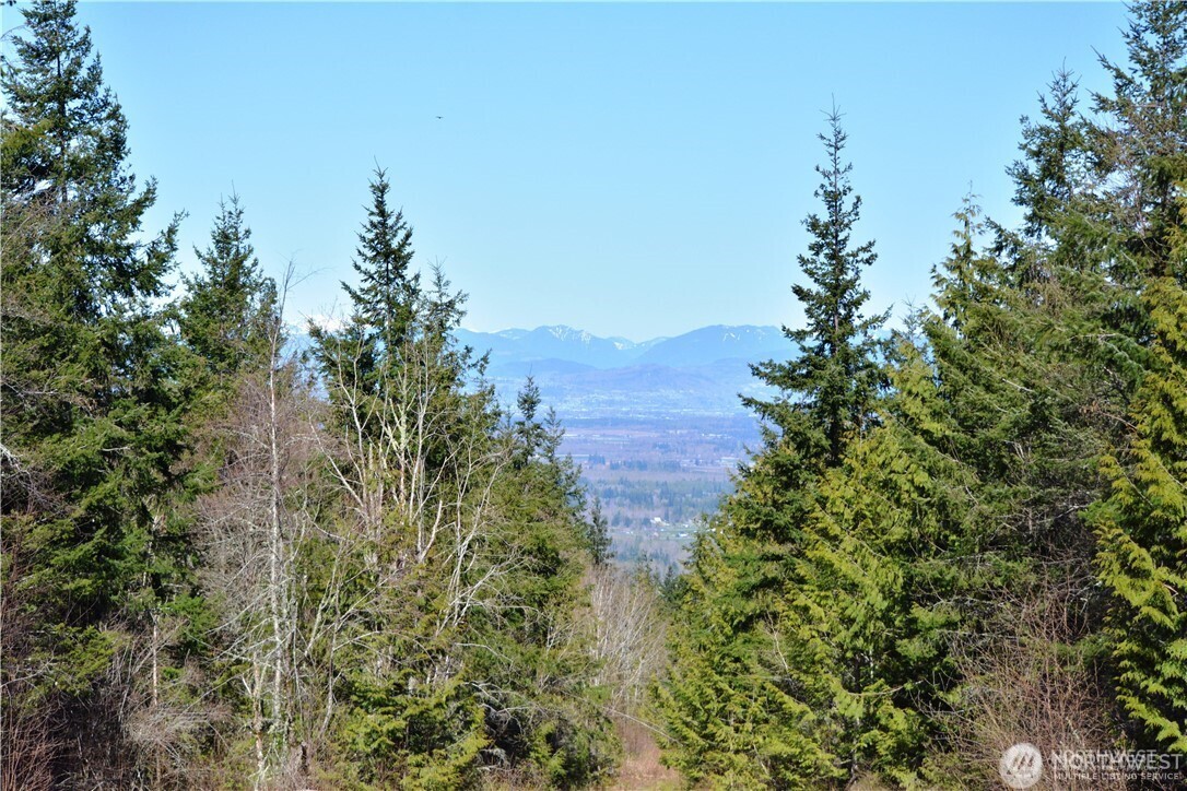 20 Academy Highlands Property Photo 38