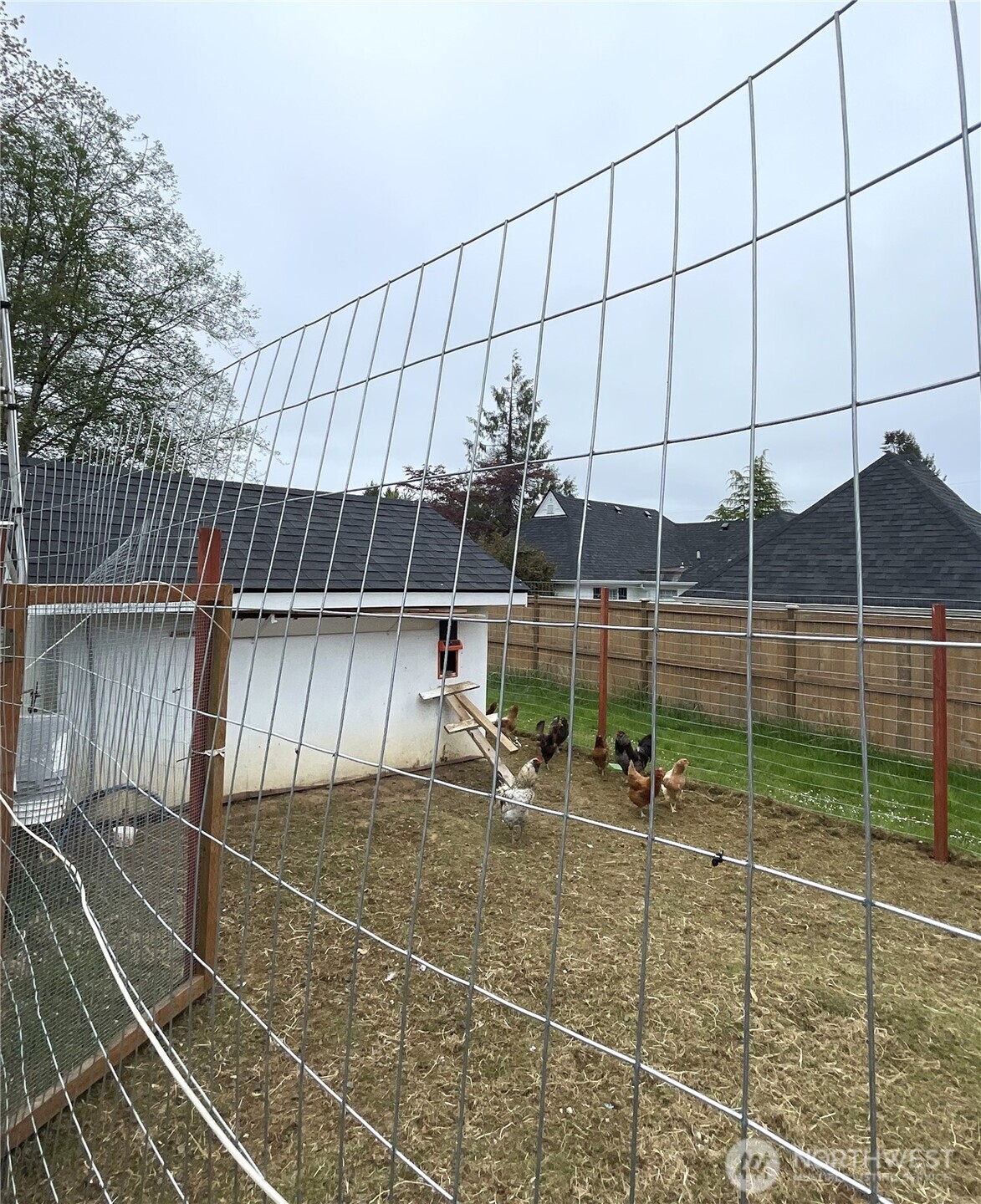 1017 Ballentine Street Property Photo 6