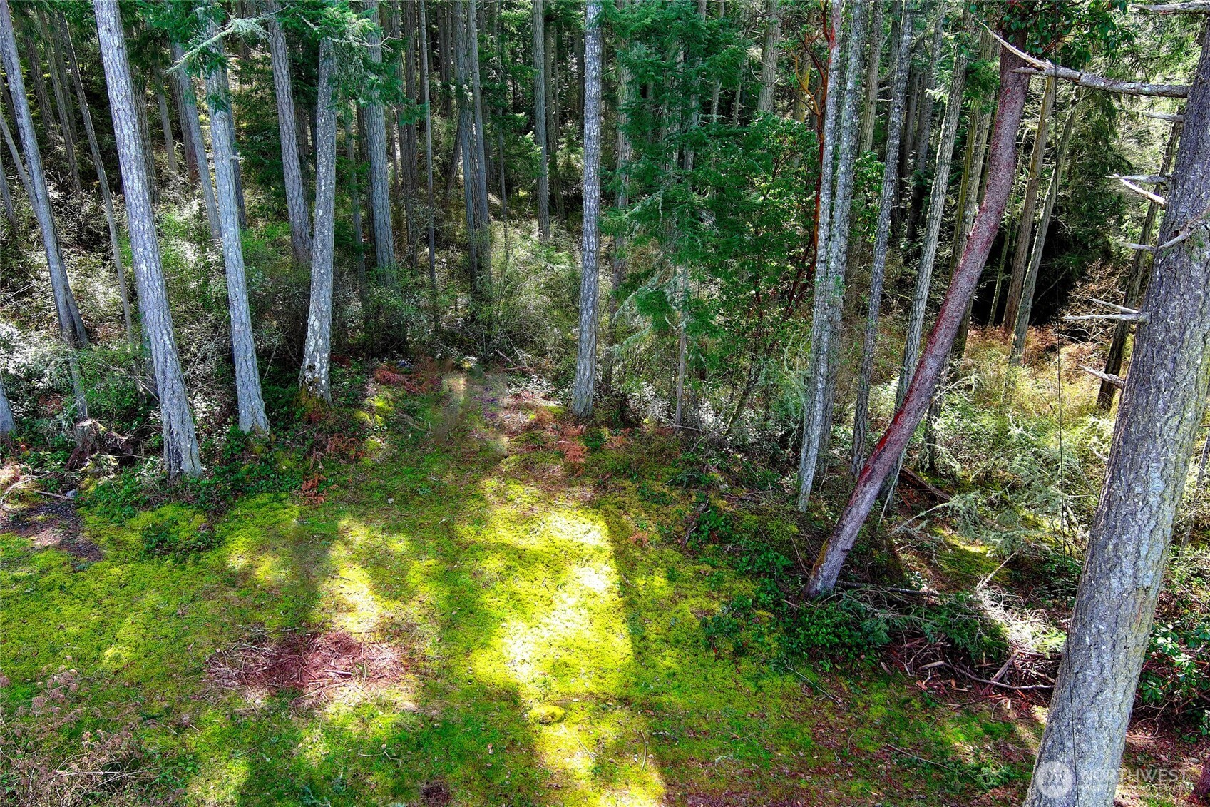 87 Conifer Lane Property Photo 2