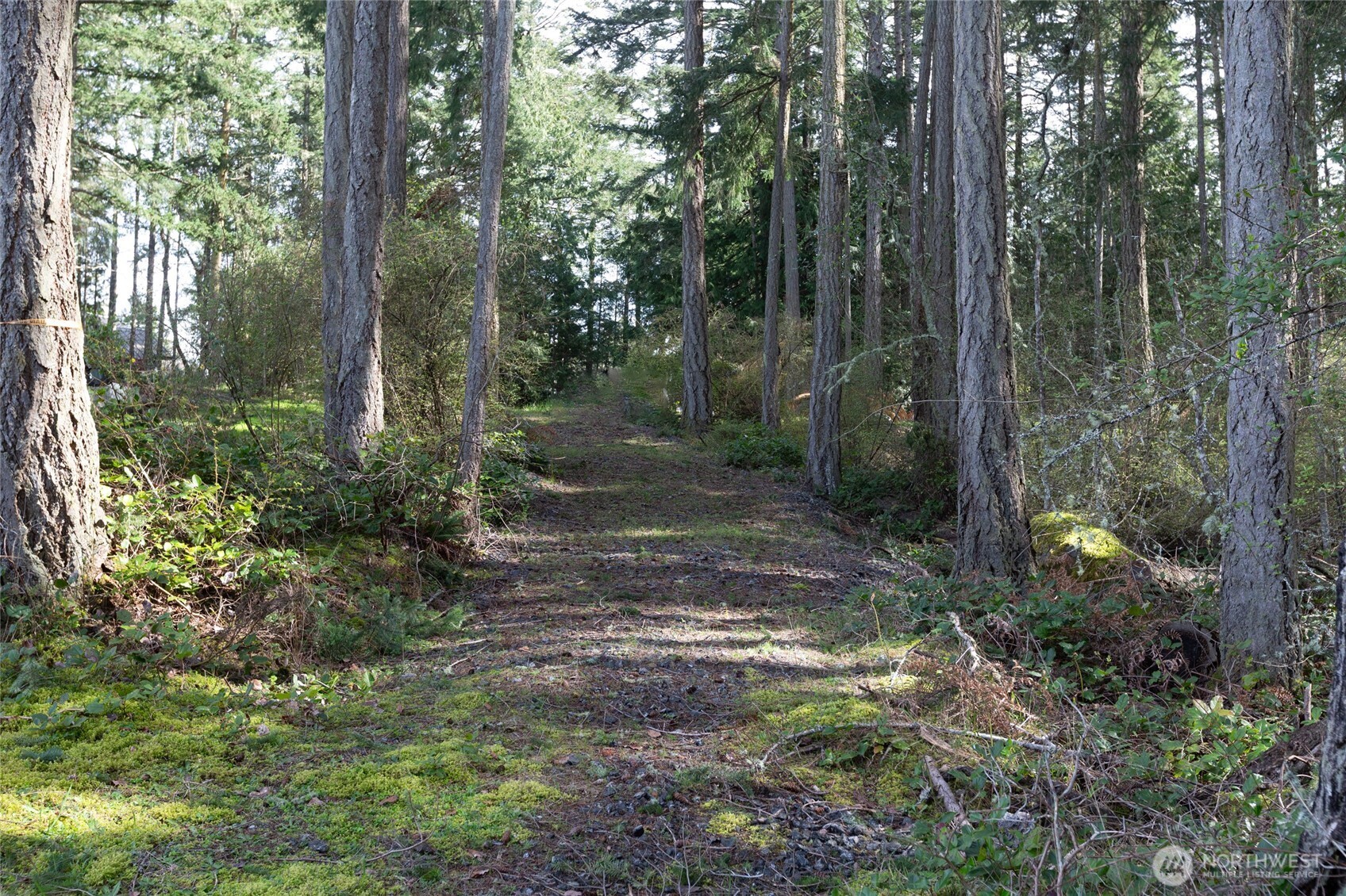 87 Conifer Lane Property Photo 3