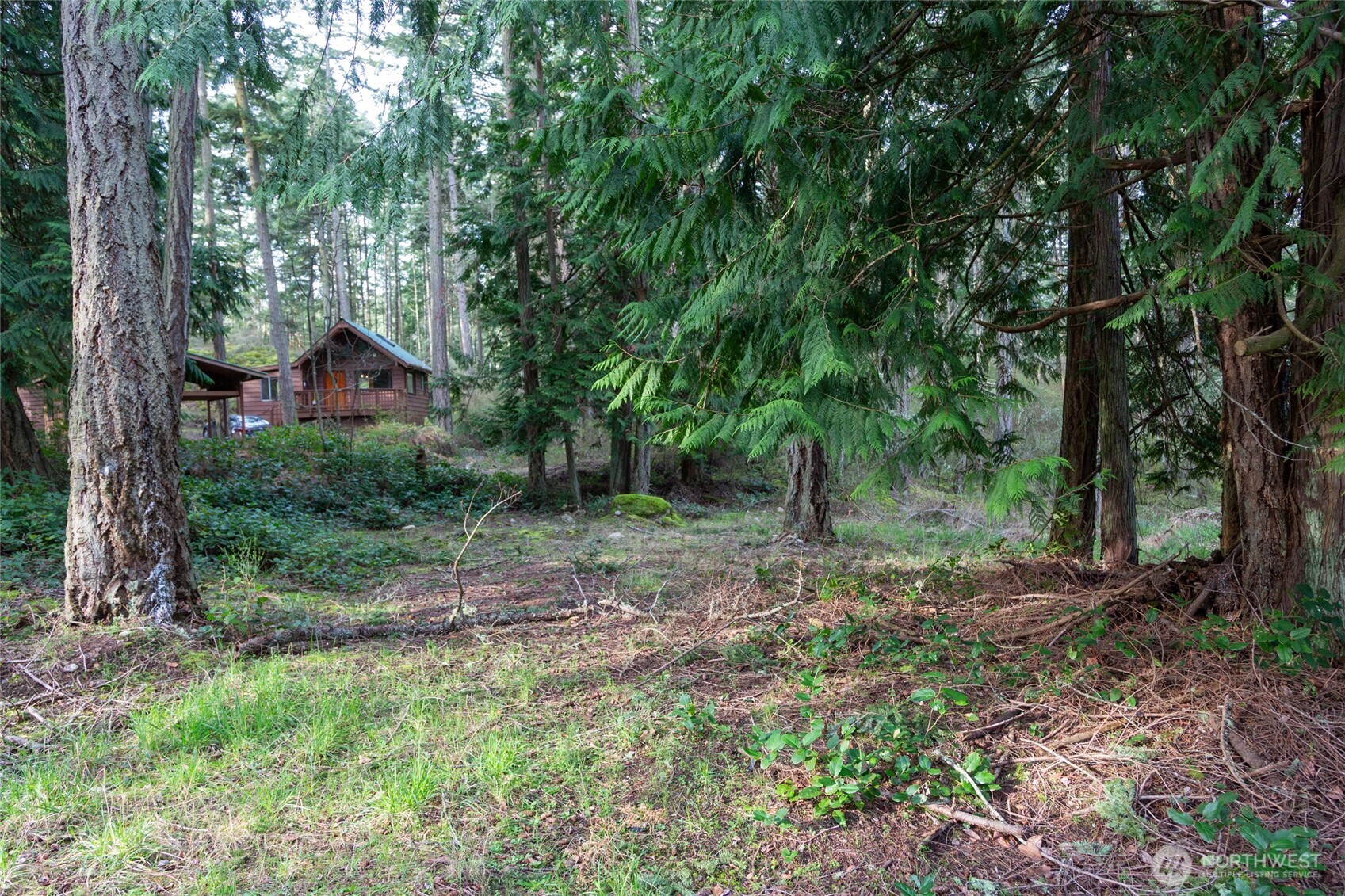 87 Conifer Lane Property Photo 5