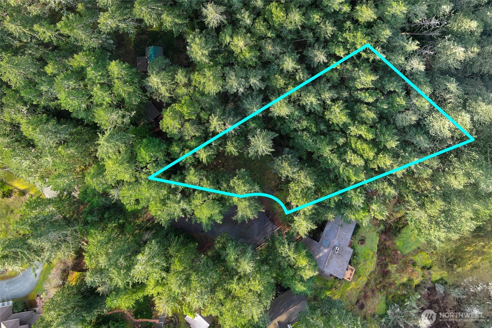 87 Conifer Lane Property Photo 6
