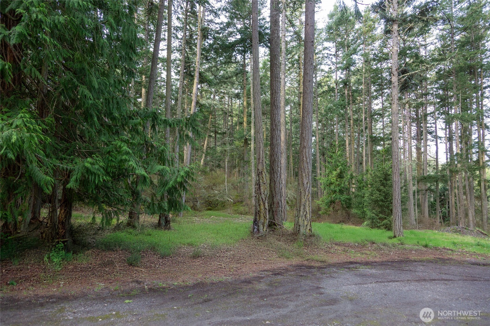 87 Conifer Lane Property Photo 7
