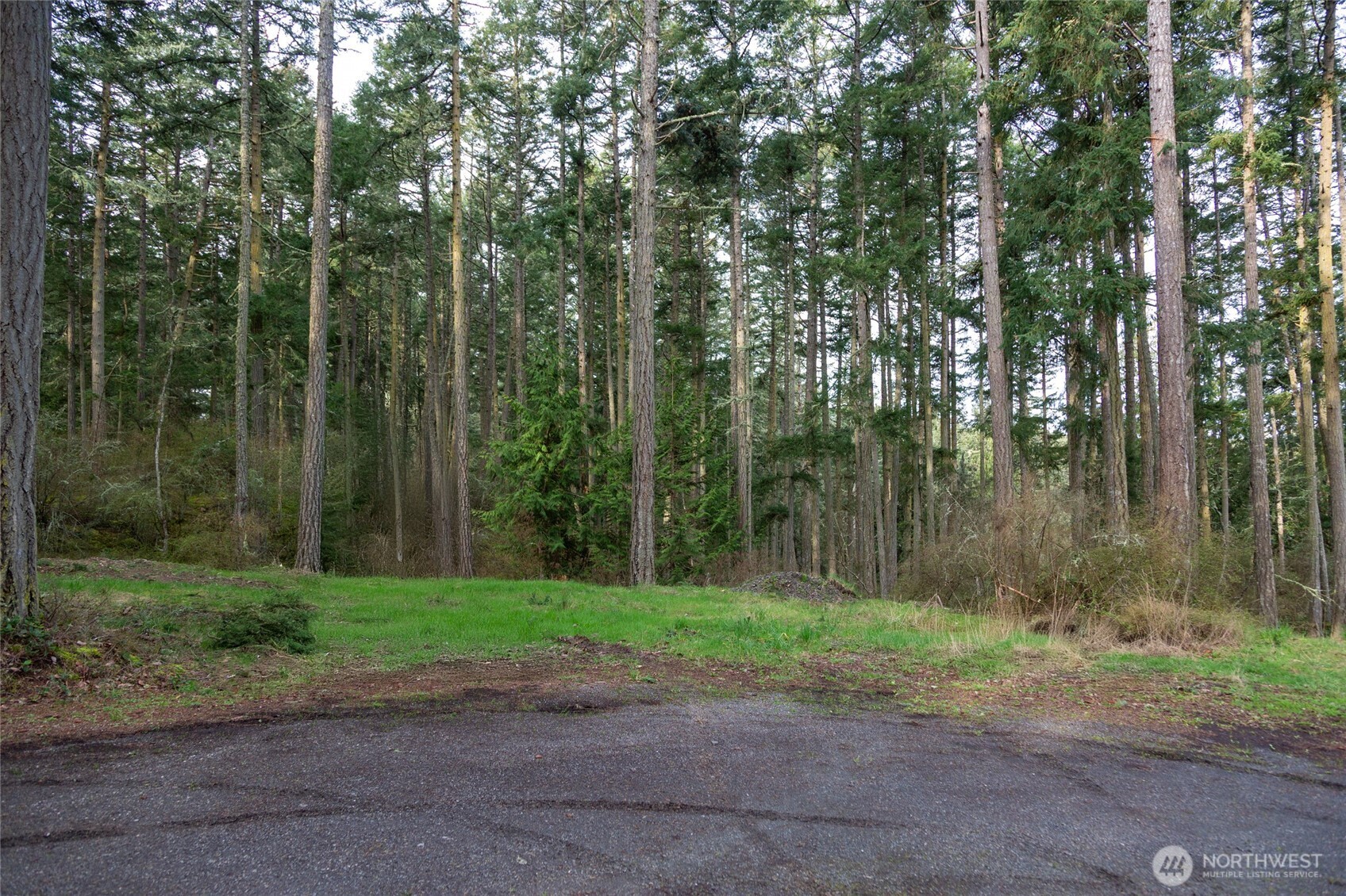 87 Conifer Lane Property Photo 8