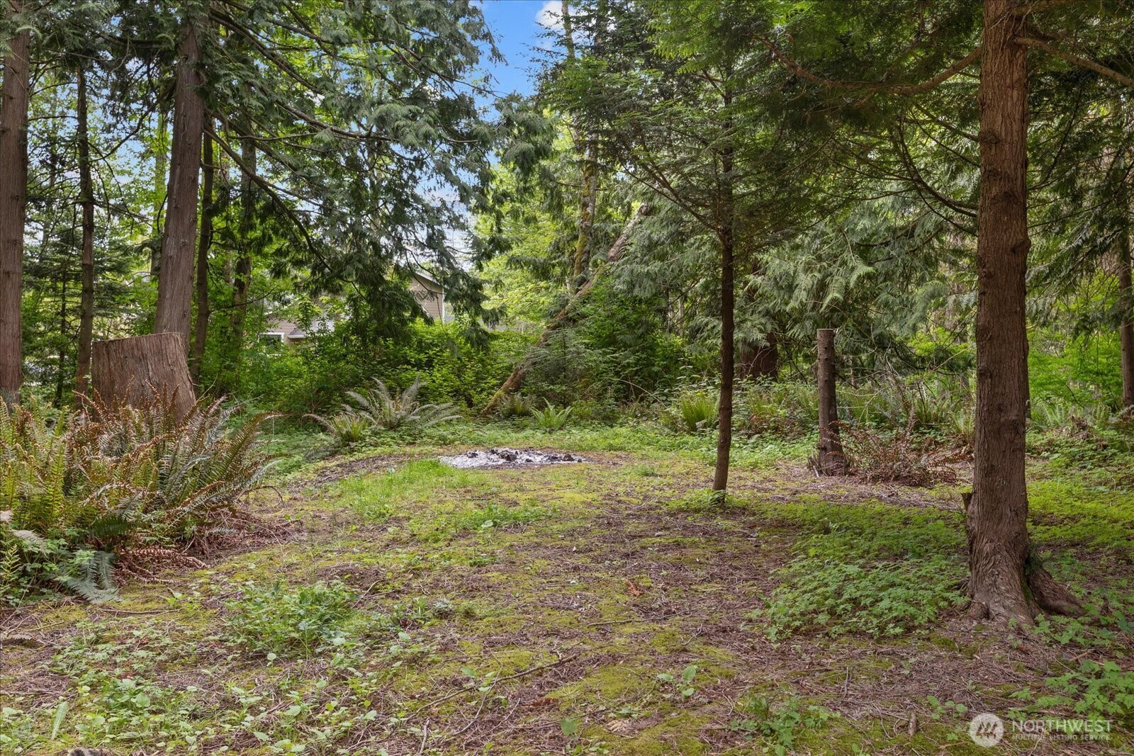 1321 E Smith Road Property Photo 29