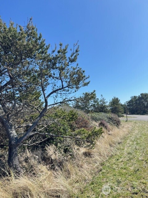 453 N Bel Air Loop Property Photo 1