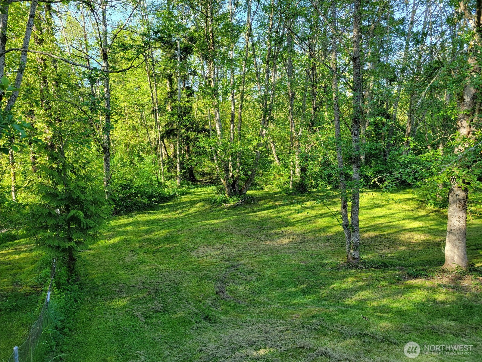 3824 Birch Bay-lynden Road Property Photo 2