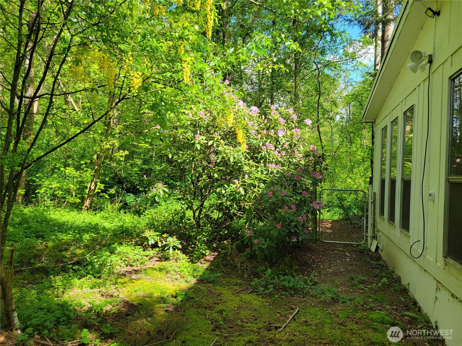 3824 Birch Bay-lynden Road Property Photo 6